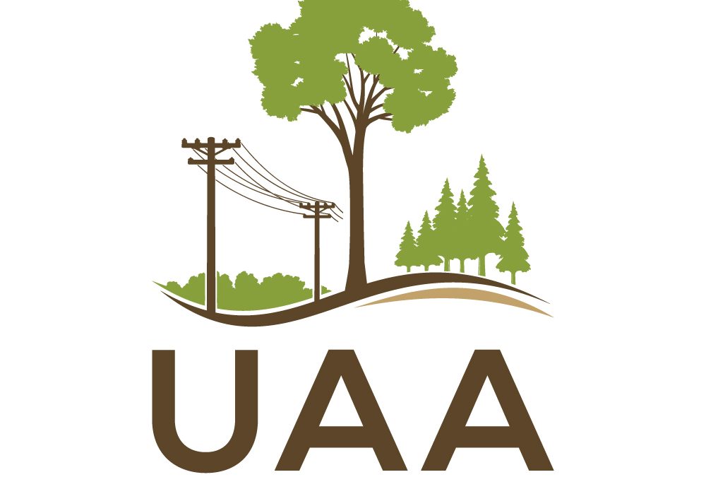 UAA Board Nominations Open in May