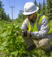 plant identification starts with training